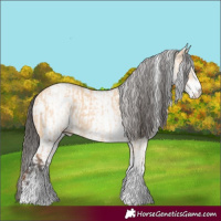 Horse Color:White Spotted Bay Dun Rabicano  and White Spotted Bay Dun Rabicano 