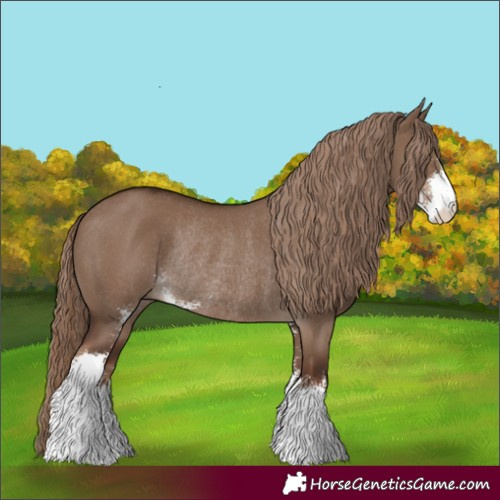 Horse Color:Liver Red Dun Sabino Rabicano 