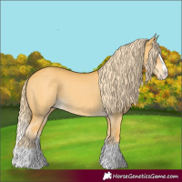Horse Color:Palomino Dun Splash