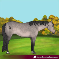 Horse Color:Platinum Bay Dun 
