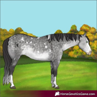 Horse Color:Platinum White Spotted Buckskin Dun Splash Rabicano