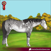 Horse Color:Platinum White Spotted Buckskin Dun Splash Rabicano Brindle 