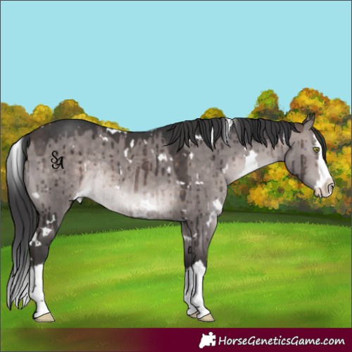 Horse Color:Platinum White Spotted Brown Dun Splash Rabicano Brindle 