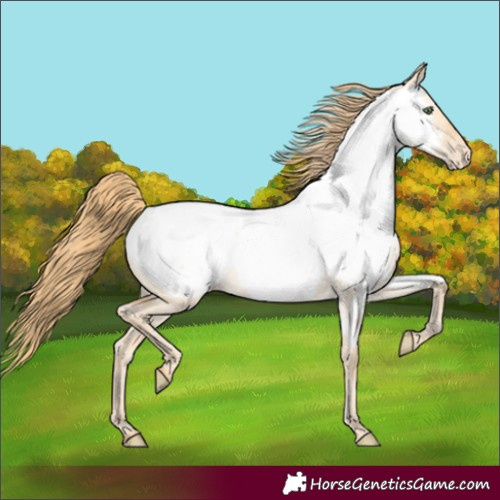 Horse Color:Gold Champagne Dun Near Fewspot