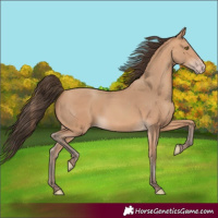 Horse Color:Amber Champagne 
