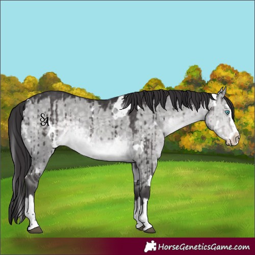 Horse Color:Platinum White Spotted Buckskin Dun Splash Rabicano Brindle