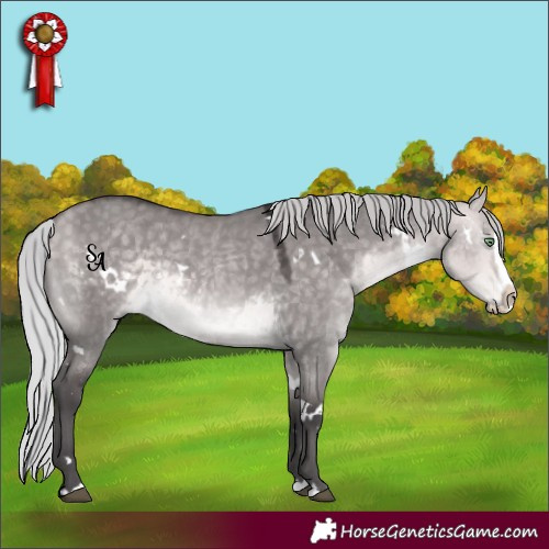 Horse Color:Platinum White Spotted Silver Buckskin Dun Splash Rabicano 