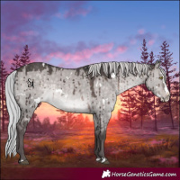Horse Color:Platinum White Spotted Silver Brown Dun Splash Rabicano Brindle