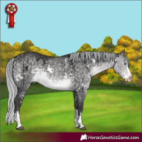 Horse Color:Platinum White Spotted Silver Buckskin Dun Splash Rabicano Brindle 