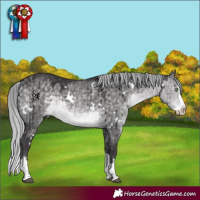 Horse Color:Platinum White Spotted Silver Buckskin Dun Splash Rabicano Brindle 