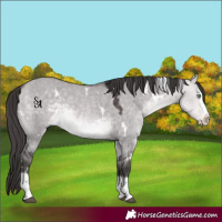 Horse Color:Platinum White Spotted Buckskin Dun Splash Rabicano