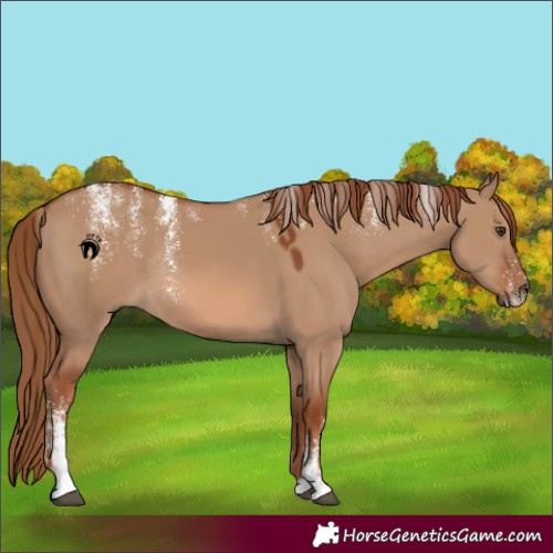 Horse Color:Powder White Red Dun Rabicano 