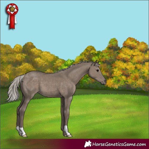 Horse Color:Silver Grullo 