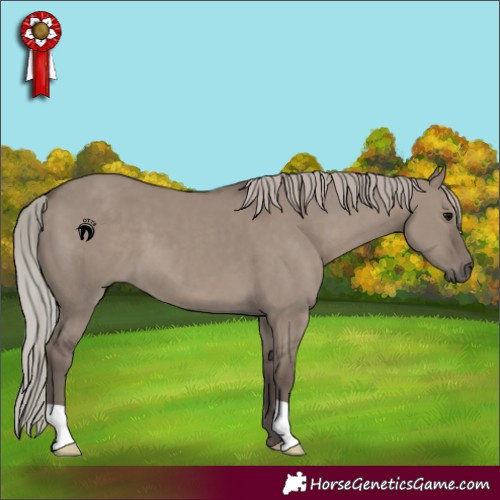 Horse Color:Silver Grullo