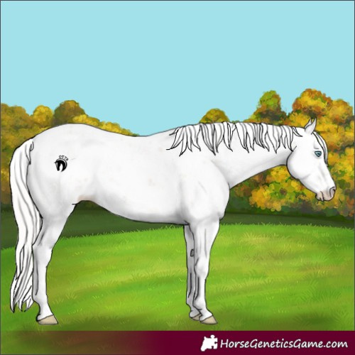 Horse Color:Silver Smoky Creme Sabino