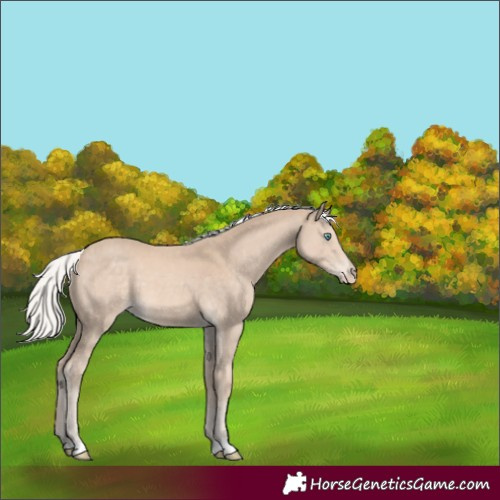 Horse Color:Silver Smoky Creme 