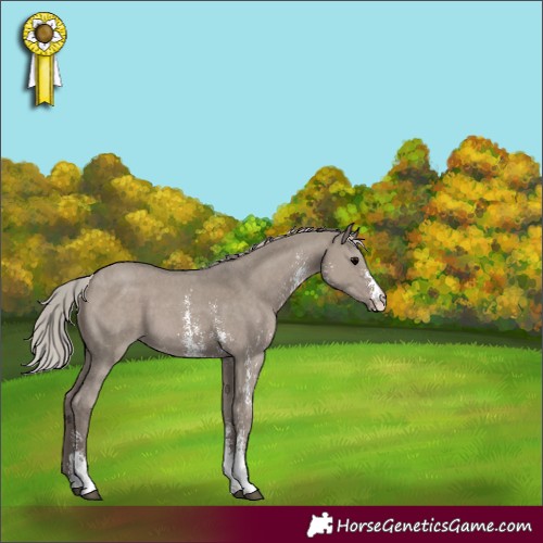 Horse Color:Silver Grullo Sabino 