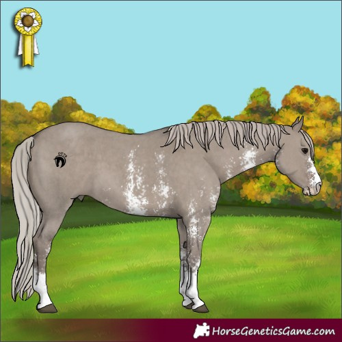 Horse Color:Silver Grullo Sabino 