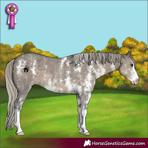 Horse Color:Silver Smoky Grullo Sabino 