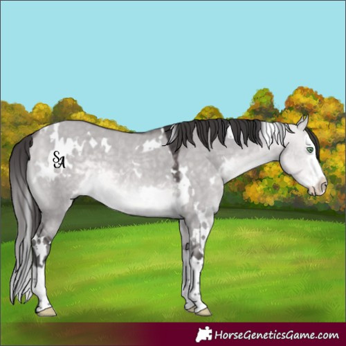 Horse Color:Platinum White Spotted Buckskin Dun Splash Rabicano 