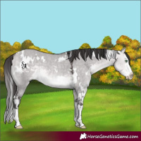 Horse Color:Platinum White Spotted Buckskin Dun Splash Rabicano