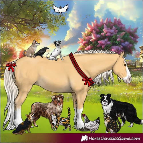 Horse Color:Palomino Splash