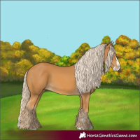 Horse Color:Palomino Splash 