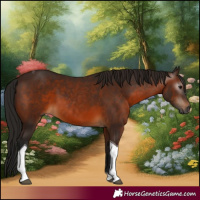 Horse Color:Gray Bay Tobiano Rabicano 