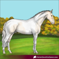 Horse Color:Chocolate Silver Buckskin Roan Tobiano