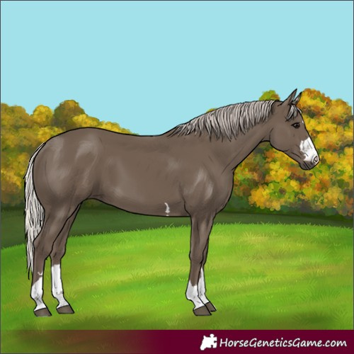 Horse Color:Silver Black 