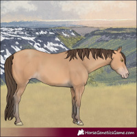 Horse Color:Amber Champagne 