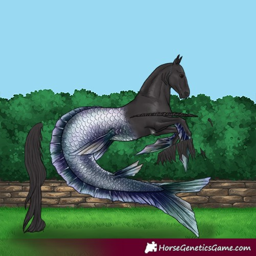 Horse Color:Smoky Black Tobiano 