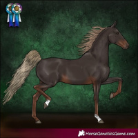 Horse Color:Liver Chestnut 