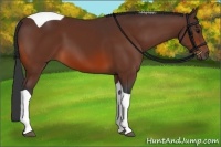 Horse Color:Bay Tobiano