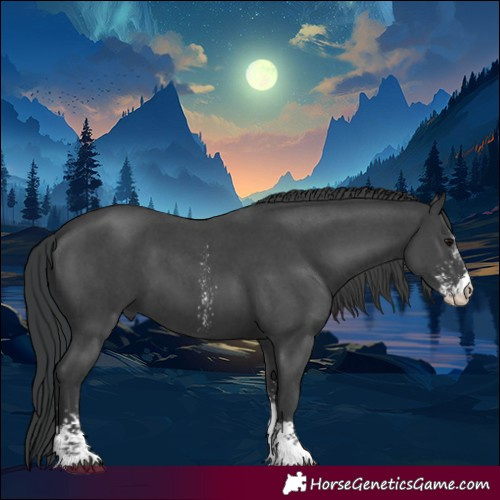 Horse Color:Black Sabino