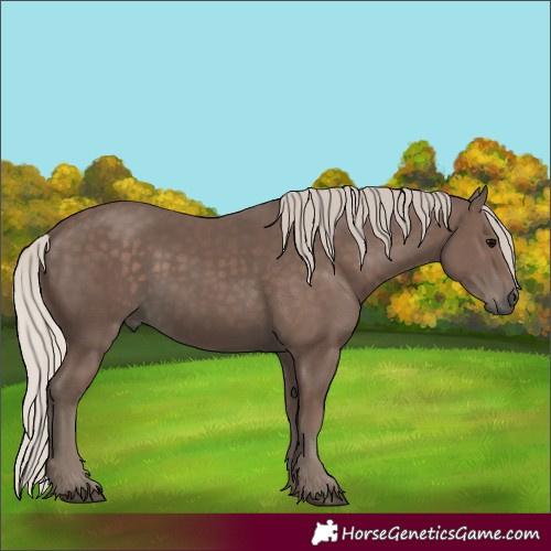 Horse Color:Silver Black 