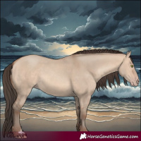 Horse Color:Amber Champagne Dun 