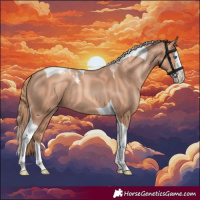 Horse Color:Gold Champagne Splash Tobiano 