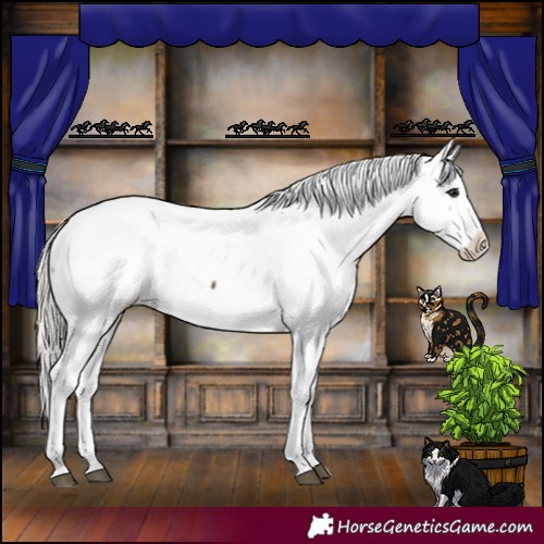 Horse Color:Silver Buckskin Snowcap
