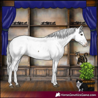 Horse Color:Silver Buckskin Snowcap 
