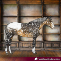 Horse Color:Silver Buckskin Snowcap 