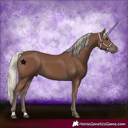 Horse Color:Silver Black 
