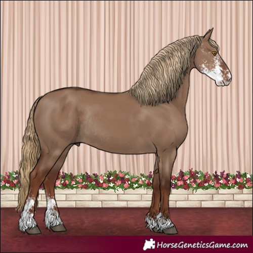 Horse Color:Liver Red Dun Sabino Rabicano 