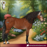 Horse Color:Gray Bay 