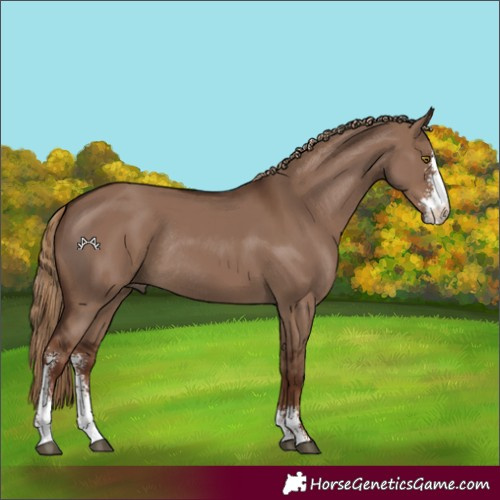 Horse Color:Liver Red Dun Sabino Rabicano 