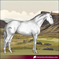 Horse Color:Gray White Spotted Black  and Gray White Spotted Black 