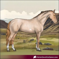 Horse Color:Red Roan Pearl Tobiano Frame 