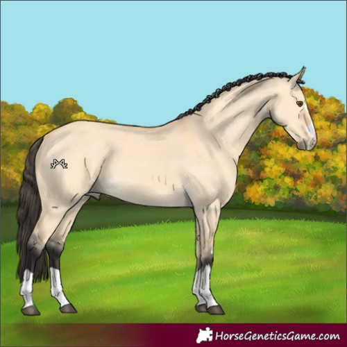 Horse Color:Buckskin Dun 