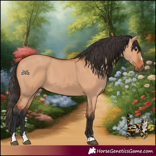 Horse Color:Bay Dun