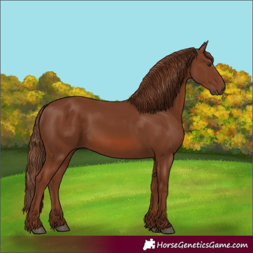 Horse Color:Chestnut 